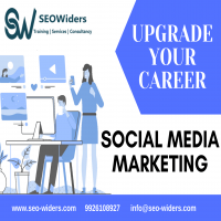Social Media Optimization Course in Indore SEOWiders InfoTech